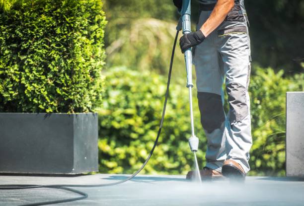 Best Driveway Pressure Washing  in Paw Paw, MI