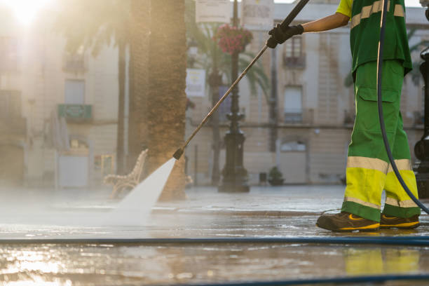 Best Patio and Deck Pressure Washing  in Paw Paw, MI